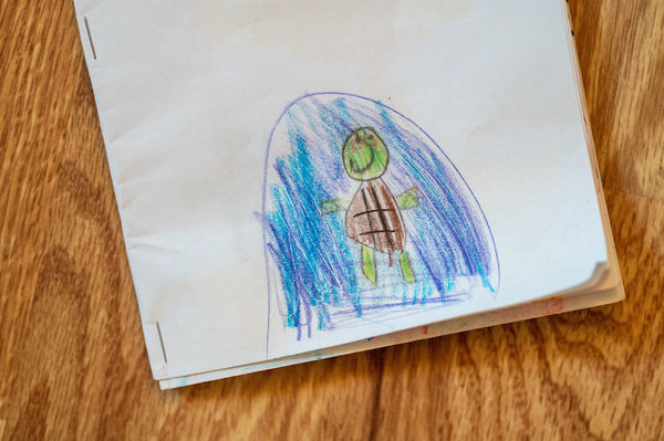 Drawing of a turtle on the cover of a book written by Michael Macaluso, 7, a second-grader at St. Joe School in South Bend. 